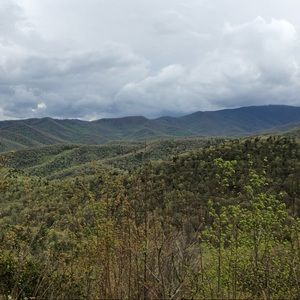 Meet your Posher, Sherry